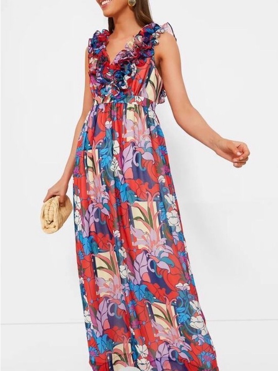 Tuckernuck Dresses & Skirts - NWT Sz XL Tuckernuck climbing cosmos Priscilla Dress